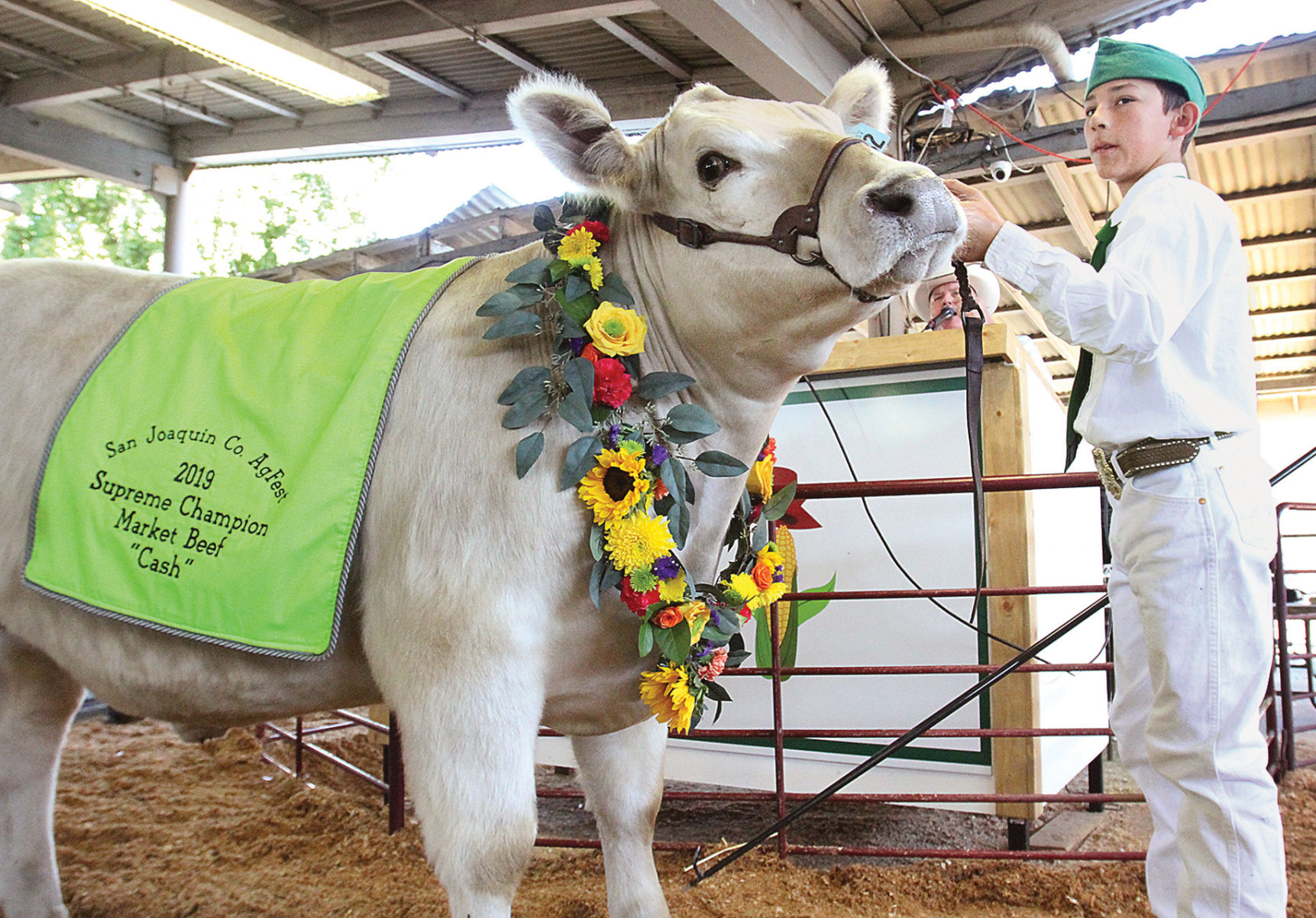 Junior Livestock Auction